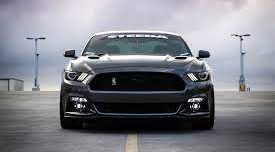 mustang